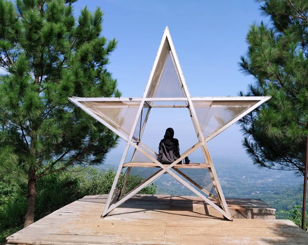 Sprinklers & Mist Spray Systems